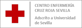 Centro de Enfermeria de la Cruz Roja de Sevilla. Sevilla. 